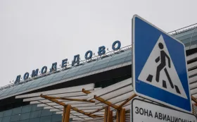 Аэропорт Домодедово на 40 минут приостановил работу